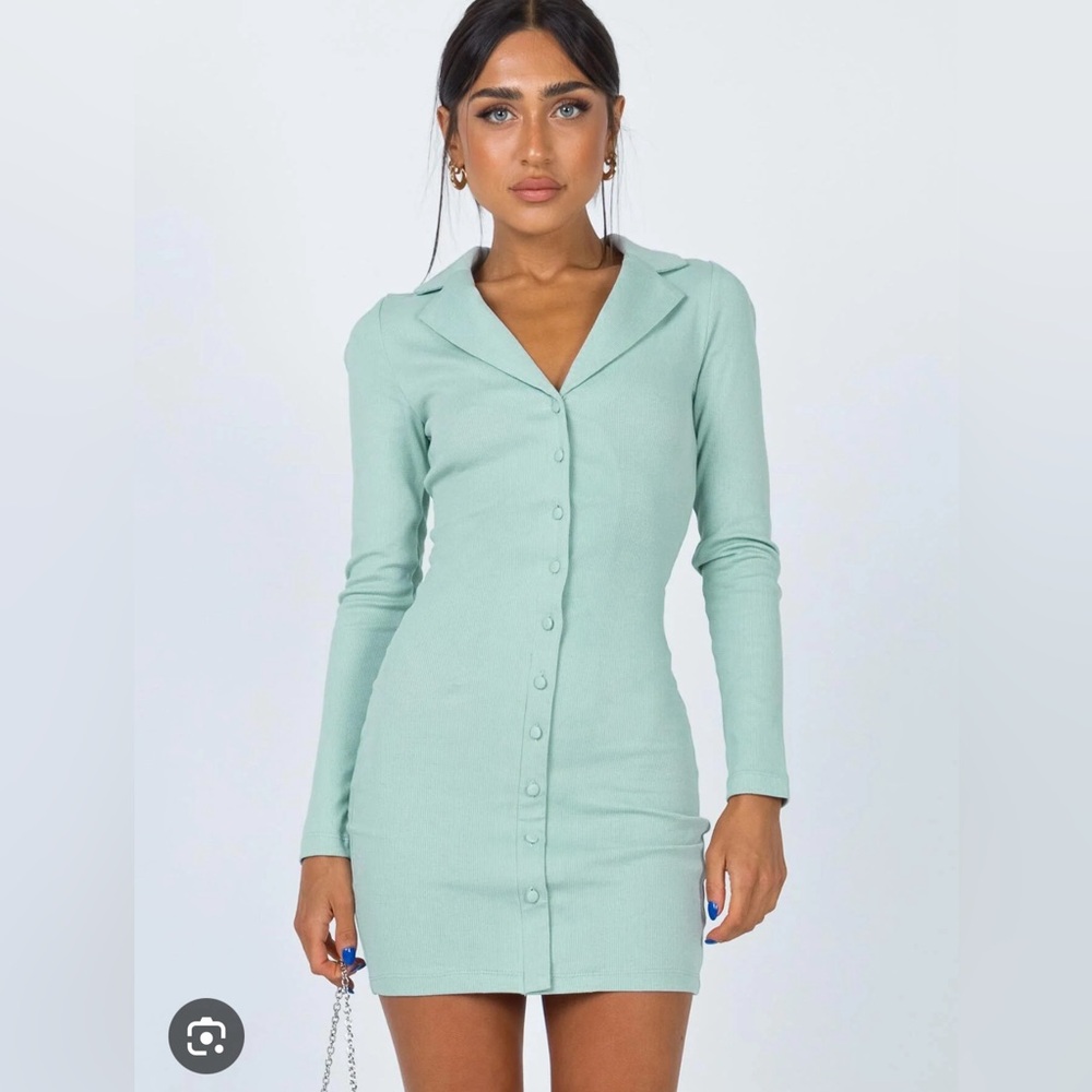 Princess Polly sage green fitted dress